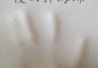 慢回弹海绵